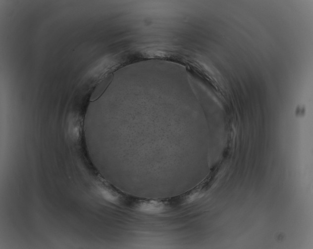 X0000094420125200711211419