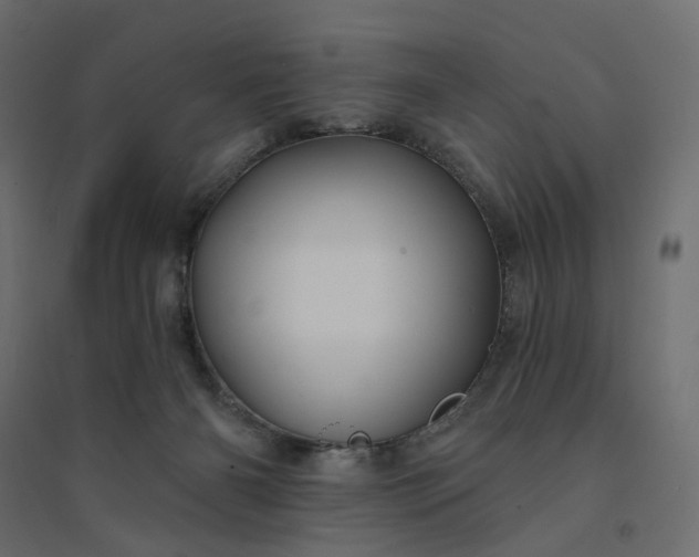 X0000094420126200711211419