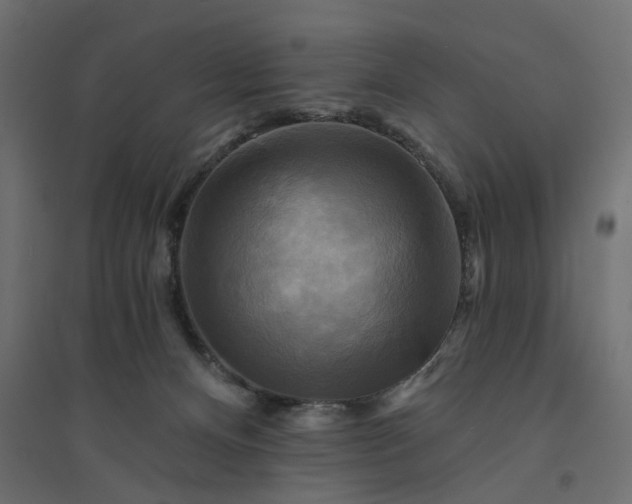X0000094420128200711211419