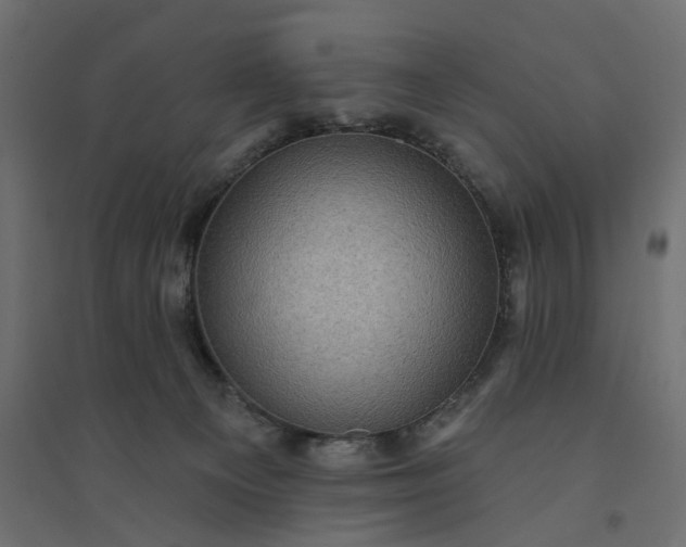 X0000094420129200711211419