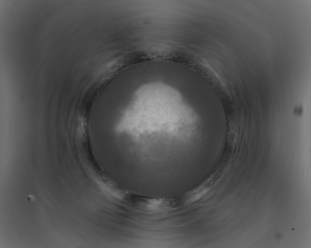 X0000094420130200711211419