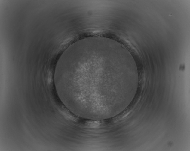 X0000094420131200711211419