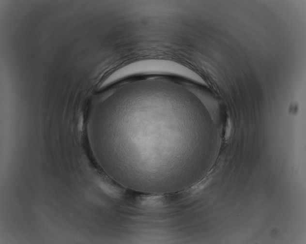 X0000094420132200711211419