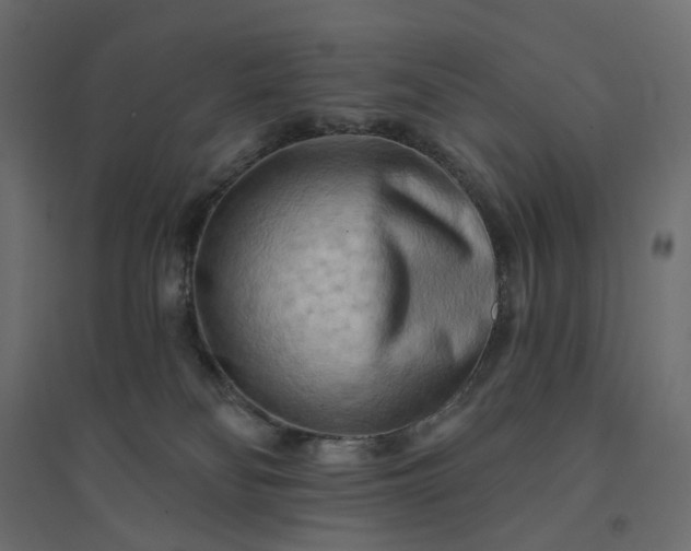 X0000094420134200711211419