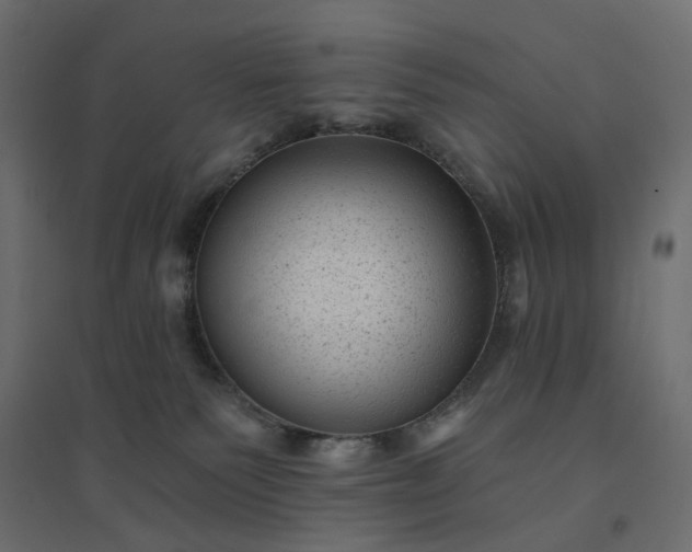 X0000094420135200711211419