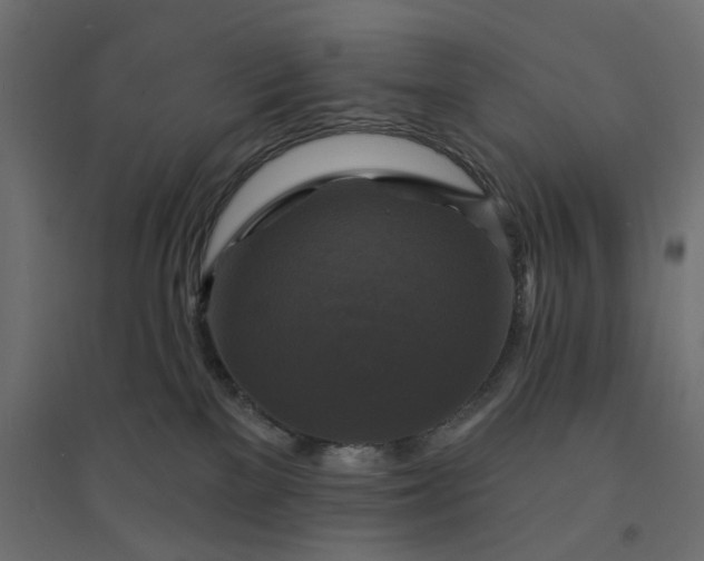 X0000094420137200711211419