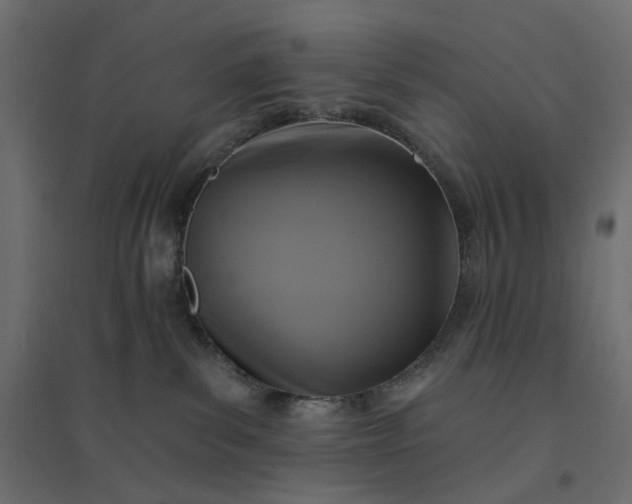 X0000094420139200711211419