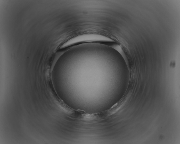 X0000094420141200711211419