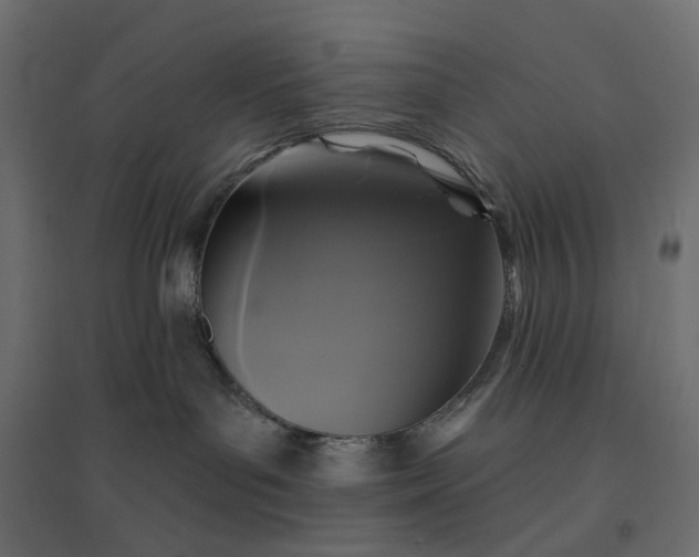 X0000094420143200711211419