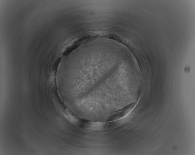 X0000094420144200711211419