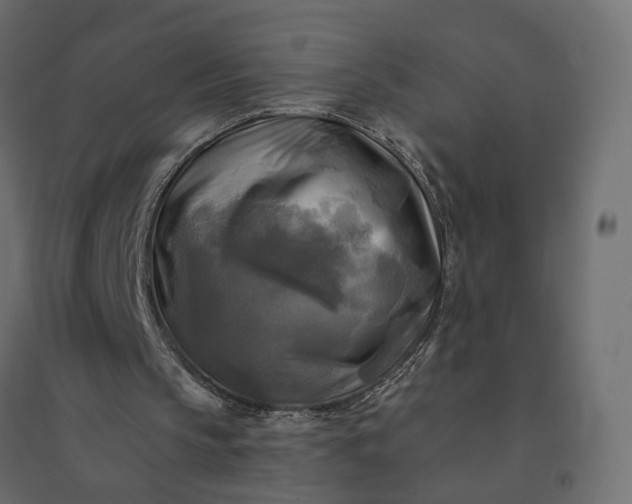 X0000094420145200711211418