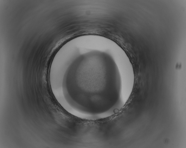 X0000094420146200711211418