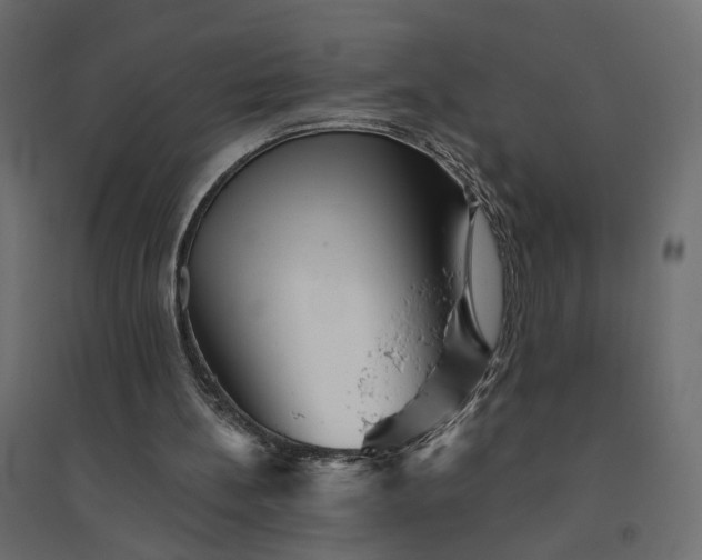 X0000094420148200711211418