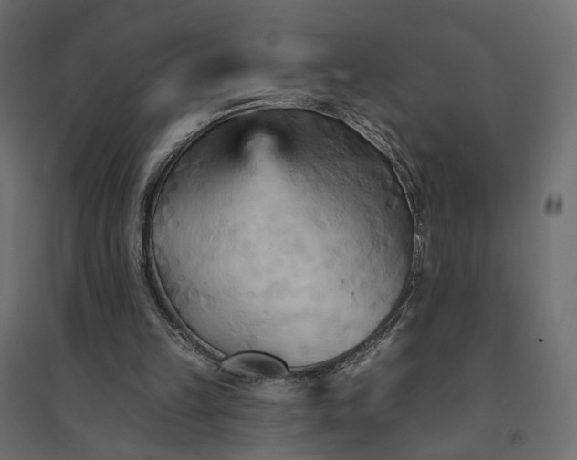 X0000094420149200711211418