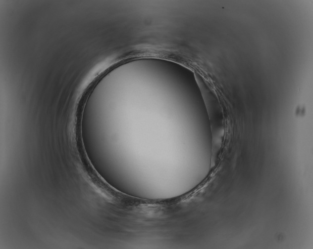 X0000094420150200711211418