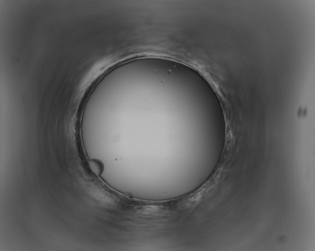 X0000094420151200711211418