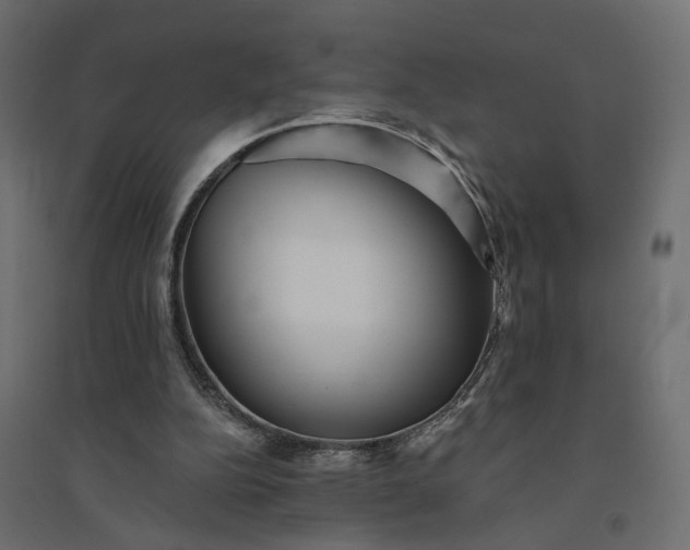 X0000094420152200711211418