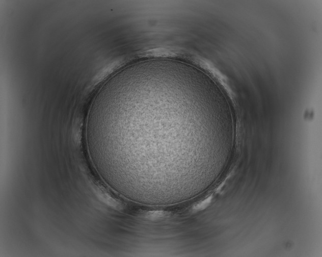 X0000094420153200711211418