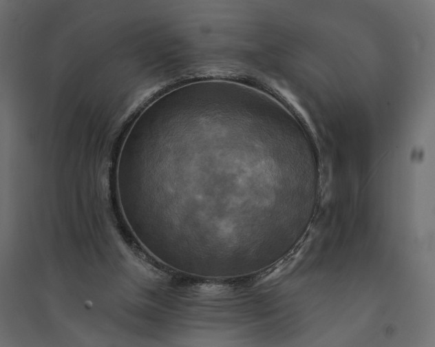X0000094420154200711211418