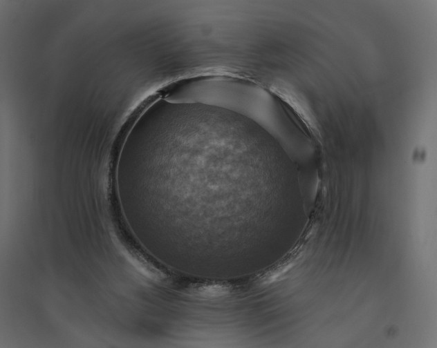 X0000094420156200711211418
