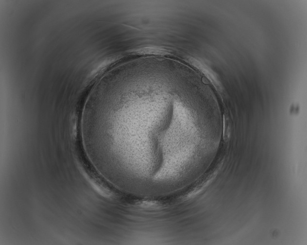 X0000094420157200711211418