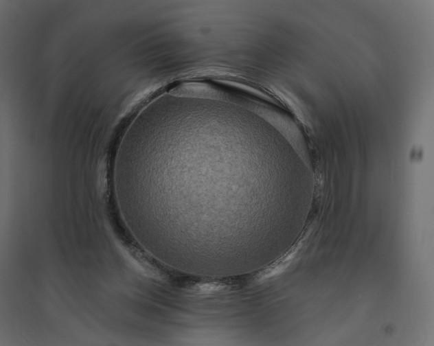 X0000094420158200711211418
