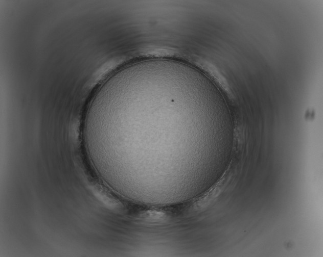 X0000094420159200711211418