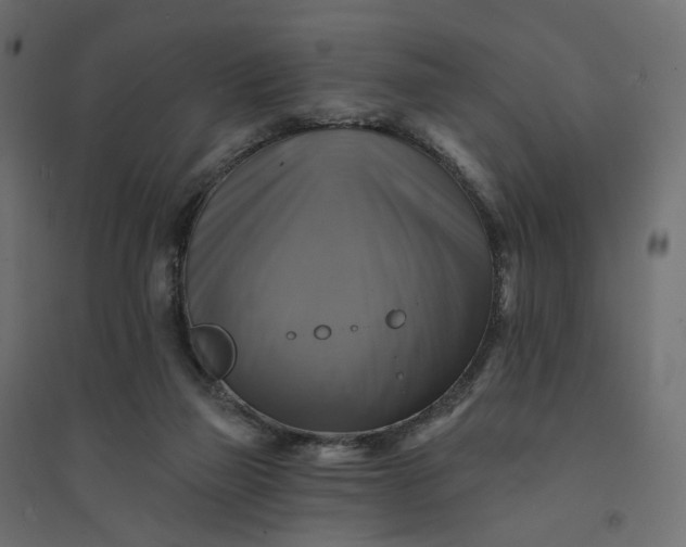 X0000094420165200711211418