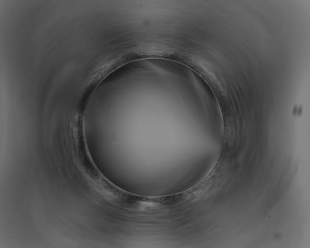 X0000094420167200711211418