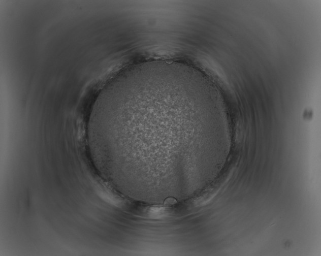 X0000094420173200711211418