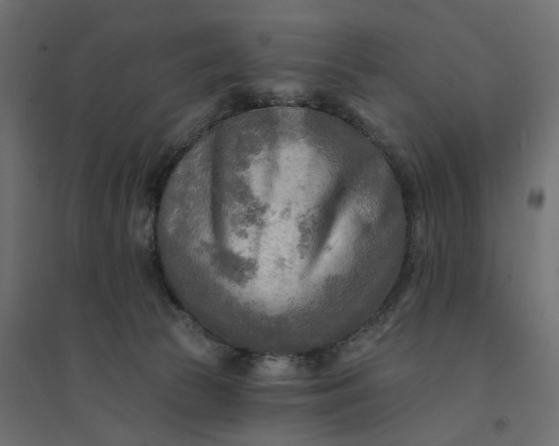 X0000094420177200711211418
