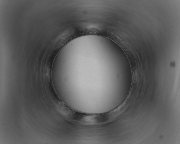 X0000094420178200711211418