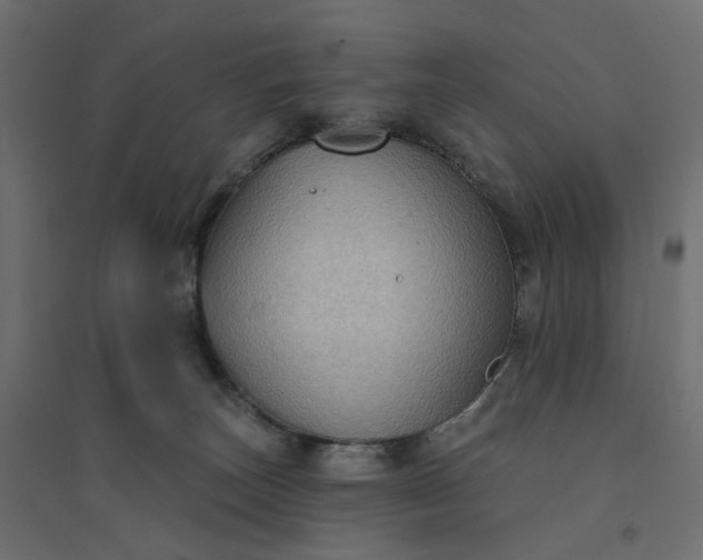 X0000094420179200711211418