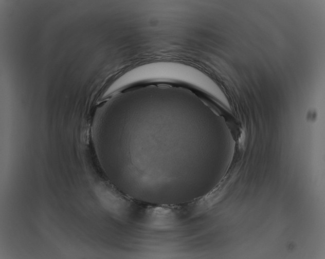 X0000094420180200711211418