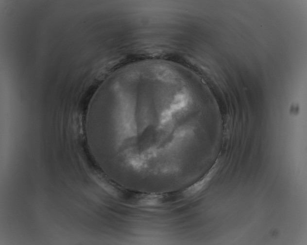 X0000094420182200711211418