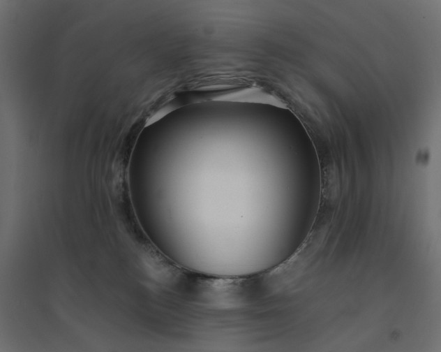 X0000094420184200711211418