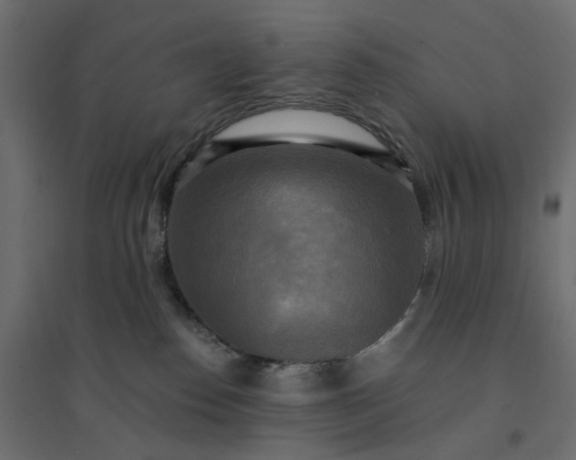 X0000094420186200711211418
