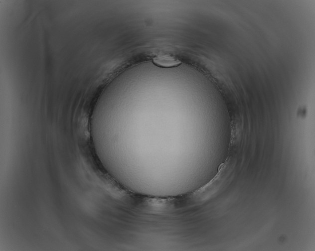 X0000094420187200711211418