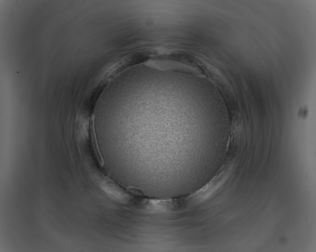 X0000094420188200711211418