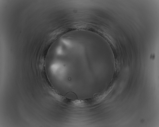 X0000094420189200711211419