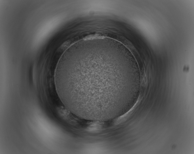 X0000094420191200711211419