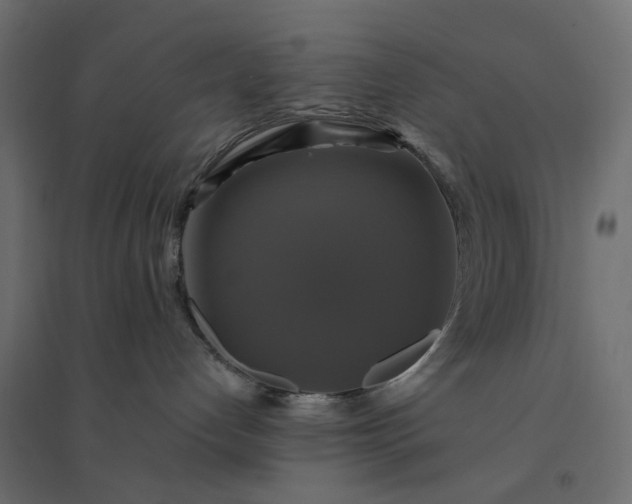 X0000094420192200711211419