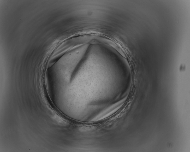 X0000094420193200711211418