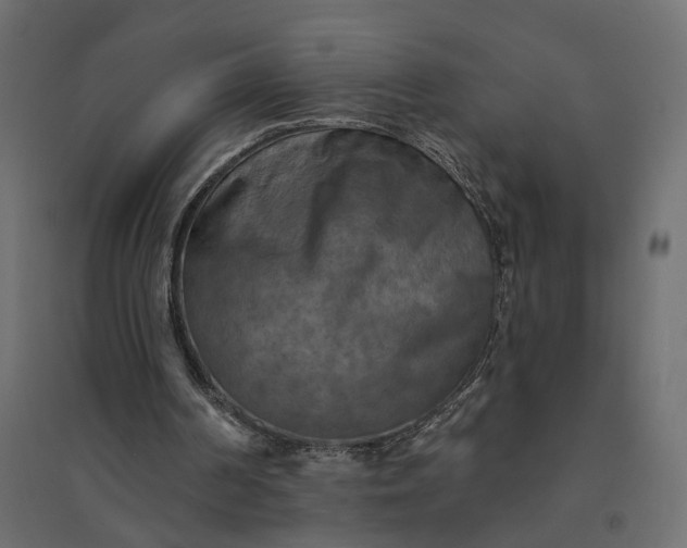 X0000094420194200711211418