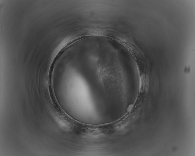 X0000094420195200711211418