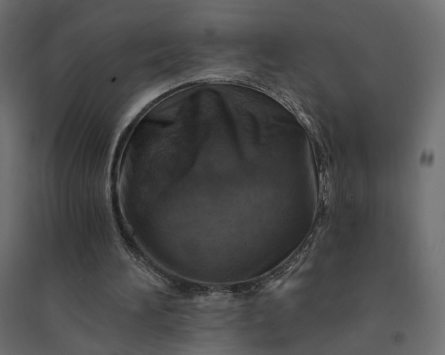 X0000094420196200711211418