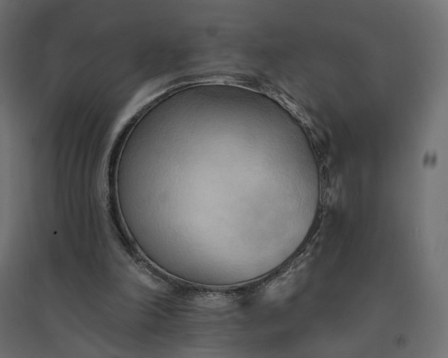 X0000094420198200711211418