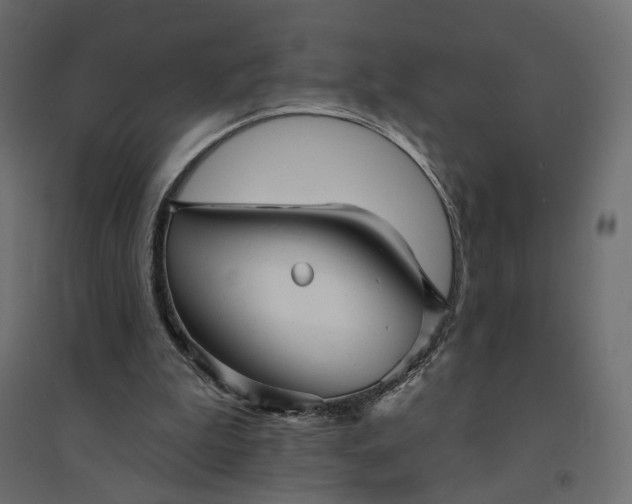 X0000094420199200711211418