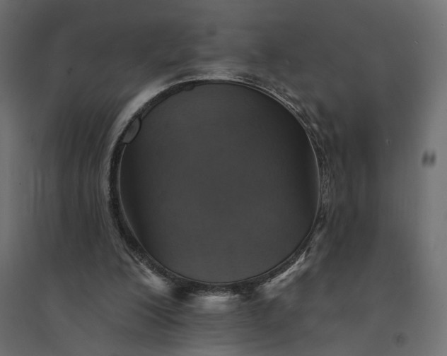 X0000094420200200711211418