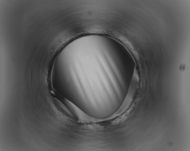X0000094420201200711211418